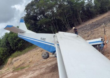 Piloto de 72 anos que caiu após avião colidir com urubu recebe alta no Pará