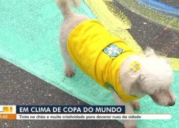 Copa do Mundo: Comunidades se unem e ruas de Belém ganham pinturas e bandeirinhas