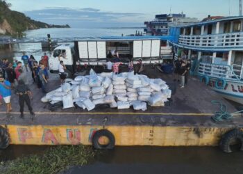 Quase 10 toneladas de pirarucu ilegal são apreendidas no Pará em uma das maiores operações contra pesca irregular