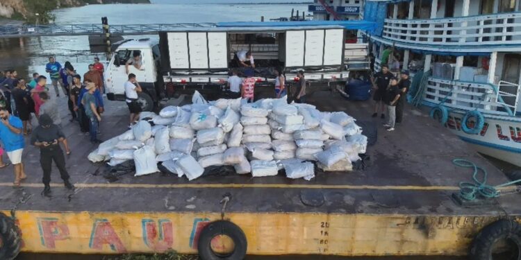 Quase 10 toneladas de pirarucu ilegal são apreendidas no Pará em uma das maiores operações contra pesca irregular